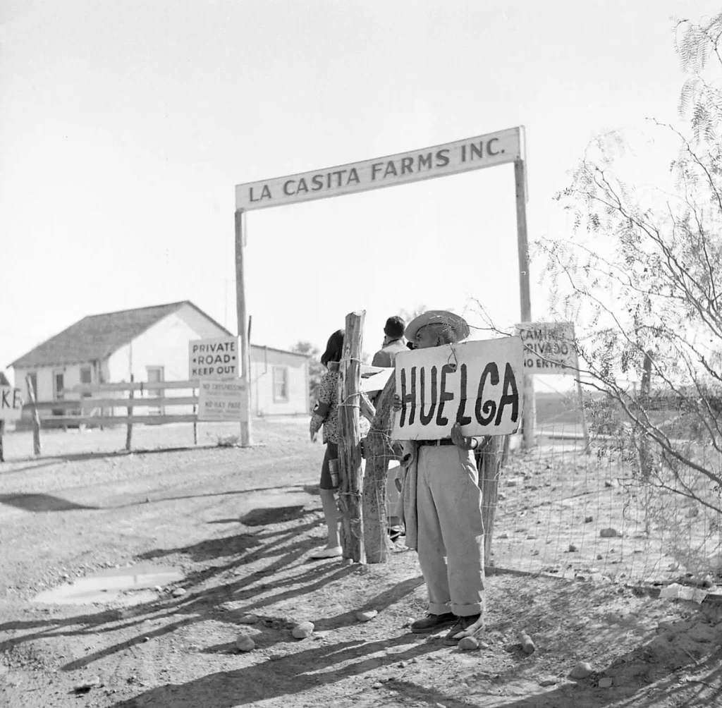 Striking melon field workers in Starr County.  Courtesy United Farm Workers. 